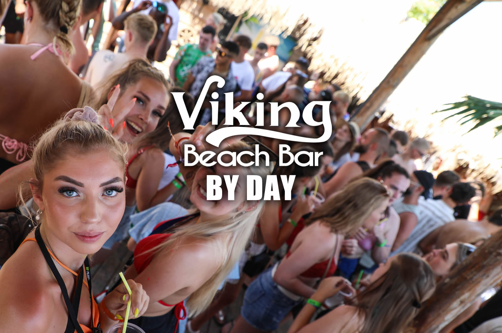 viking beach bar