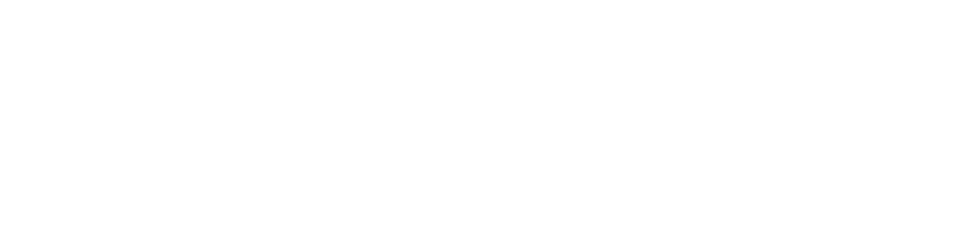 Viking Beach Bar