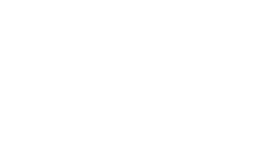 viking beach bar